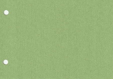 Кассетные рулонные шторы Карина Блэкаут, светло-зеленый