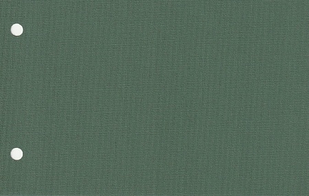 Рулонные шторы для проёма Карина, темно-зеленый