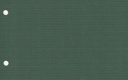 Открытые рулонные шторы Карина Блэкаут, темно-зеленый