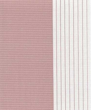 Закрытые рулонные шторы день-ночь Латина, темно-розовый 1811