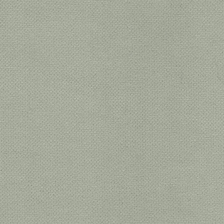Вельвет Светло-серый 30981 (Однотонные ткани)